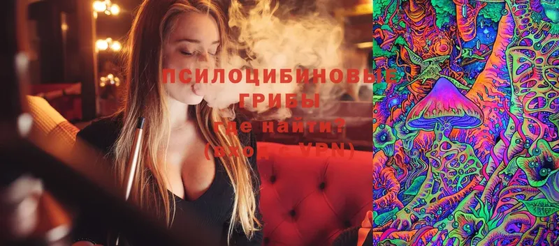 купить  цена  Корсаков  Галлюциногенные грибы MAGIC MUSHROOMS 